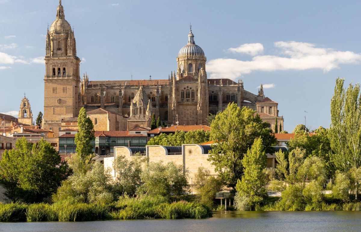 Salamanca Cathedrals and Roman Bridge